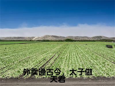 外卖通古今，太子做夫君是什么小说-陵轻舟江逸澈免费小说在线阅读