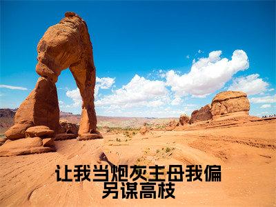 让我当炮灰主母我偏另谋高枝精彩小说赏析全文许清宜谢韫之热门小说免费阅读