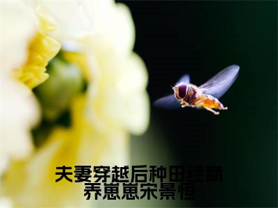 夫妻穿越后种田经商养崽崽宋景恒（夏知秋宋景恒）免费全文阅读小说_夫妻穿越后种田经商养崽崽宋景恒最新章节列表-笔趣阁（夏知秋宋景恒）