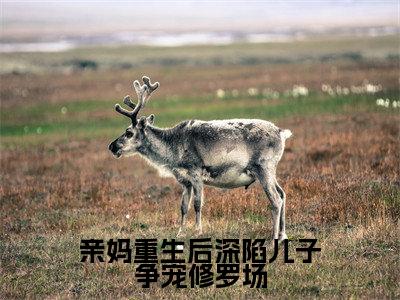 亲妈重生后深陷儿子争宠修罗场（林絮）全文免费阅读无弹窗大结局_（亲妈重生后深陷儿子争宠修罗场）最新章节列表_笔趣阁