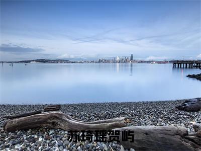 苏琦瑶贺屿小说全文免费阅读（苏琦瑶贺屿）全文免费阅读无弹窗大结局