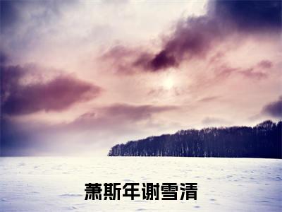谢雪清萧斯年免费阅读无弹窗大结局，萧斯年谢雪清最新章节