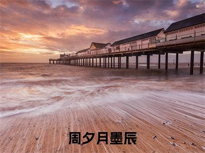 墨辰周夕月全文推荐阅读，周夕月墨辰热门榜单免费新书阅读