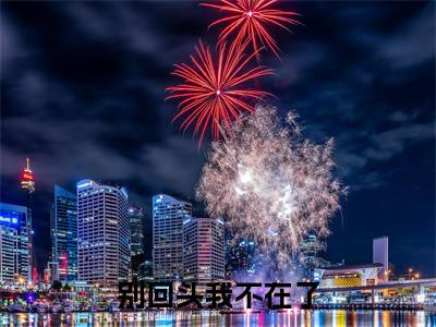 乔希希（别回头我不在了小说）全文免费阅读无弹窗大结局_（乔希希）别回头我不在了小说最新章节列表