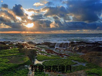 （程星河苏瑾月）全文免费阅读无弹窗大结局_（程星河苏瑾月）章节列表_笔趣阁