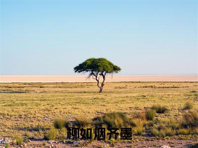 柳如烟齐墨（柳如烟齐墨）小说全文免费阅读-柳如烟齐墨（柳如烟齐墨）小说免费版最新更新阅读