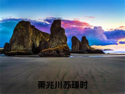 秦兆川苏瑾时：秦兆川苏瑾时全文免费阅读无弹窗大结局_（秦兆川苏瑾时）秦兆川苏瑾时最新章节列表笔趣阁