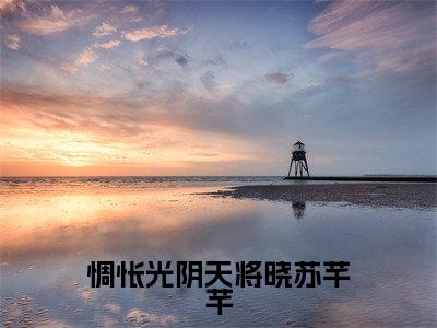 惆怅光阴天将晓苏芊芊（苏芊芊）全文免费阅读无弹窗_苏芊芊最新小说精彩推荐