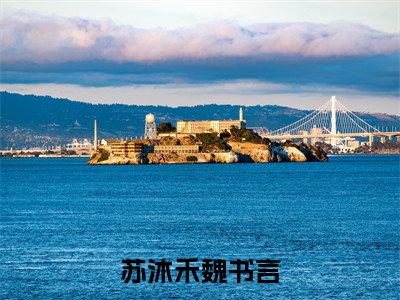 （苏沐禾魏书言）魏书言苏沐禾全文完整版-最新热门榜单小说苏沐禾魏书言（魏书言苏沐禾）