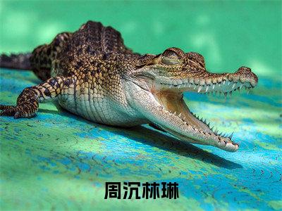小说《周沉林琳》全文免费阅读无弹窗-周沉林琳（林琳周沉）小说全文在线赏析_笔趣阁