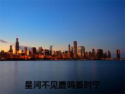 星河不见鹿鸣姜时宁（陆洺姜时宁全章节完整版）免费阅读-星河不见鹿鸣姜时宁全文无删减阅读