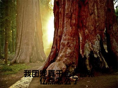 我团宠真千金，嚣张亿点怎么了（宋糖）免费全文阅读小说_宋糖最新章节列表-笔趣阁（我团宠真千金，嚣张亿点怎么了）