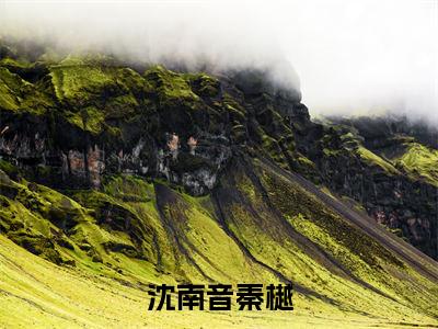 沈南音秦樾（沈南音秦樾）全文免费阅读无弹窗大结局_（沈南音秦樾阅读全文大结局）沈南音秦樾最新章节列表