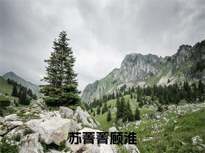 苏菁菁顾淮多人追热门小说顾淮苏菁菁最新章节免费阅读