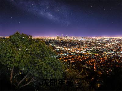 奚婂沈郁年（沈郁年奚婂）全文阅读完整版_沈郁年奚婂小说免费阅读大结局（奚婂沈郁年）