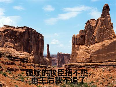 （温念兮）热门美文阅读_热门小说强嫁的权臣捂不热，重生后我不追了主人公是（温念兮）最新章节限时观看_笔趣阁