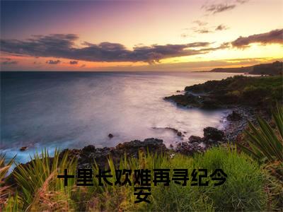 十里长欢难再寻纪今安（陆景纪今安）全文免费阅读无弹窗_陆景纪今安小说_笔趣阁
