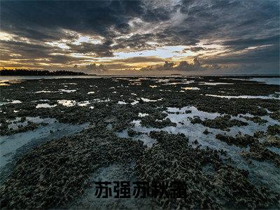 苏强苏秋霜全文免费阅读无弹窗大结局_（苏秋霜苏强）免费阅读全文无弹窗