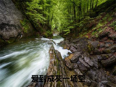 爱到成灰一场空（顾淮苏菁菁）小说免费阅读完结版-爱到成灰一场空小说全文免费阅读（顾淮苏菁菁后续+全集）
