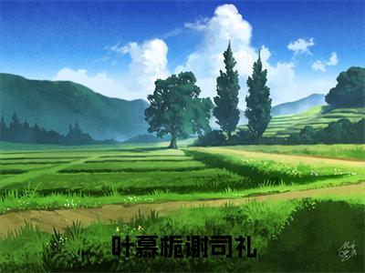 谢司礼叶慕栀（叶慕栀谢司礼）最新热门小说榜单推荐-谢司礼叶慕栀最新章节免费阅读