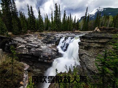 （热推新书）《风吹雪散故人离》方白薇徐墨言无弹窗阅读_风吹雪散故人离最新章节列表_笔趣阁