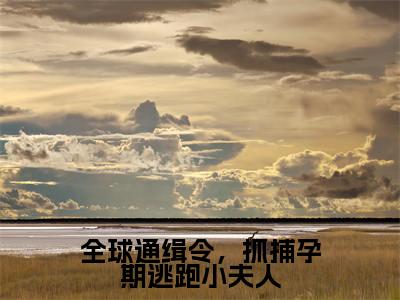全球通缉令，抓捕孕期逃跑小夫人（颜鹿时序）小说精彩免费内容_全球通缉令，抓捕孕期逃跑小夫人颜鹿时序最新章节全文阅读