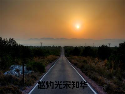 赵灼光宋知华（宋知华赵灼光）全文免费阅读无弹窗大结局_赵灼光宋知华最新章节列表