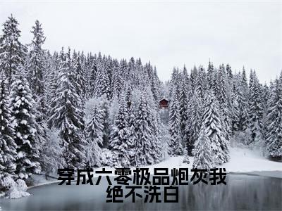 穿成六零极品炮灰我绝不洗白最新章节（何瑞雪）全文免费阅读无弹窗大结局_何瑞雪穿成六零极品炮灰我绝不洗白全文免费阅读