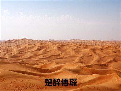 傅琛楚辞免费楚辞傅琛读无弹窗最新章节列表_笔趣阁（傅琛楚辞）