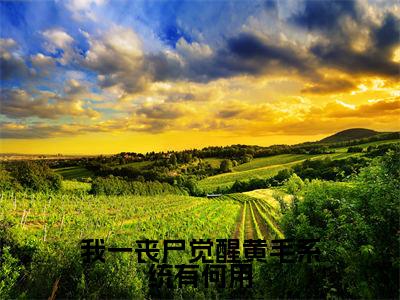 我一丧尸觉醒黄毛系统有何用全文免费阅读（张辰顾欣妍免费阅读无弹窗）我一丧尸觉醒黄毛系统有何用最新章节列表