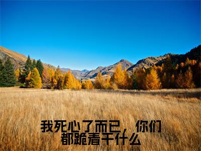 我死心了而已，你们都跪着干什么（夏夜薄之洲）笔趣阁免费小说_我死心了而已，你们都跪着干什么笔趣阁全文阅读