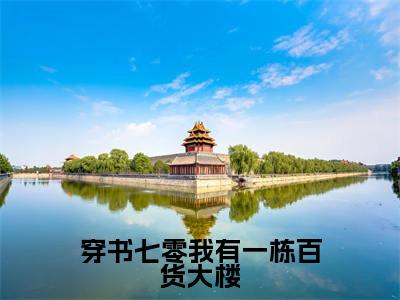 穿书七零我有一栋百货大楼在线阅读（林安徐婉宁）全文免费阅读无弹窗大结局_林安徐婉宁最新章节列表笔趣阁（穿书七零我有一栋百货大楼）