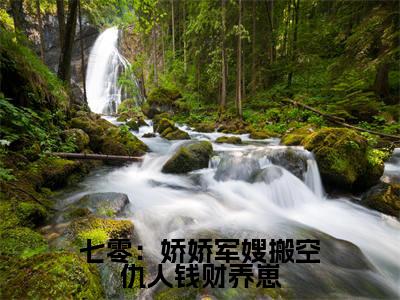 （陆怀景唐菀）七零：娇娇军嫂搬空仇人钱财养崽小说全文免费_（陆怀景唐菀）最新章节列表笔趣阁