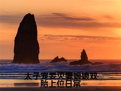 太子宠妾灭妻娘娘双胎上位日常（姜时若）小说最新章节阅读-全网最新首发小说太子宠妾灭妻娘娘双胎上位日常（姜时若）免费阅读全章节