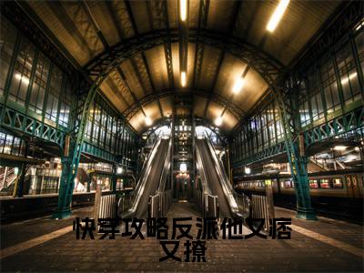热文甄艾在线免费读-快穿攻略反派他又痞又撩的小说（甄艾）完整版免费读全文