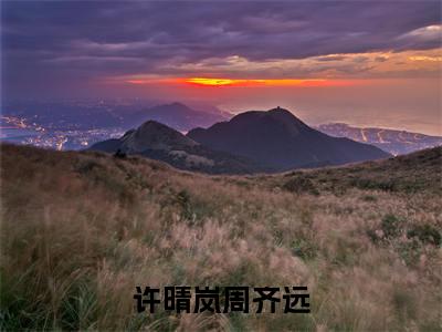 许晴岚周齐远（周齐远许晴岚）全文免费阅读无弹窗完整版，（许晴岚周齐远）免费阅读全文最新章节列表_笔趣阁