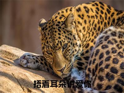 捂着耳朵说爱你小说全文免费阅读（霍建安叶听兰）免费阅读全文免费阅读无弹窗大结局