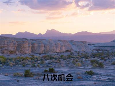 八次机会小说全文免费阅读-（颜知暖段意寒）抖音新书热荐八次机会全文免费阅读