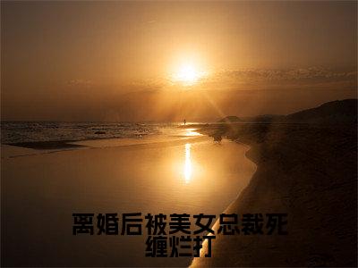 新书热荐离婚后被美女总裁死缠烂打全文免费阅读无弹窗大结局-小说张扬全文完整版免费阅读