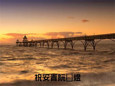 祝安青阮玥煜（祝安青阮玥煜）小说全文免费阅读-祝安青阮玥煜小说最新章节完整版