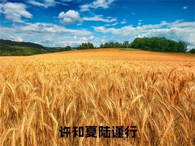 许知夏陆谨行小说全文免费阅读无弹窗大结局_（许知夏陆谨行全文免费阅读）许知夏陆谨行最新章节列表笔趣阁