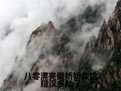 八零漂亮傻娇娇卖给糙汉多胎了全文免费阅读-（叶小珍）小说全文免费阅读正版无弹窗