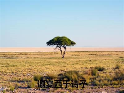 谢宴西于诗予（于诗予谢宴西）全文免费阅读_（于诗予谢宴西）小说谢宴西于诗予最新章节阅读