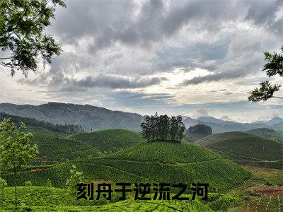 （番外）+（全文）刻舟于逆流之河（向云鹿段临舟）精彩小说-小说向云鹿段临舟全文无删减版免费阅读