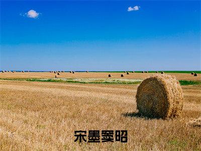 宋墨窦昭（宋墨窦昭）免费小说完整版阅读-（宋墨窦昭）最新章节在线阅读