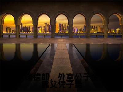 沈幼薇沈辰安小说全文免费阅读_沈幼薇沈辰安（嫁错郎，外室公子全靠父凭子贵）最新章节列表笔趣阁