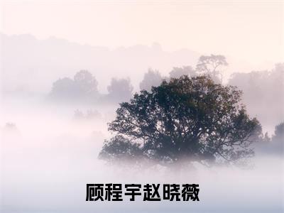 顾程宇赵晓薇顾程宇赵晓薇精彩章节在线阅读-顾程宇赵晓薇美文欣赏