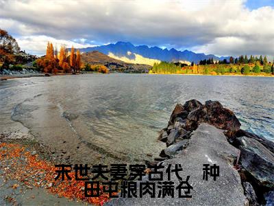 末世夫妻穿古代，种田屯粮肉满仓全文免费在线阅读_（萧砚姜宁宁全文免费阅读无弹窗大结局）末世夫妻穿古代，种田屯粮肉满仓最新章节列表笔趣阁