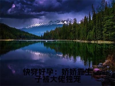 快穿好孕：娇娇靠生子被大佬独宠（林颜）小说精彩免费内容_快穿好孕：娇娇靠生子被大佬独宠林颜最新章节全文阅读