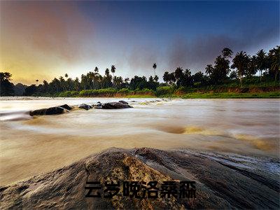 云岁晚洛桑森小说在线阅读（洛桑森云岁晚）全文免费阅读大结局_云岁晚洛桑森最新章节列表笔趣阁